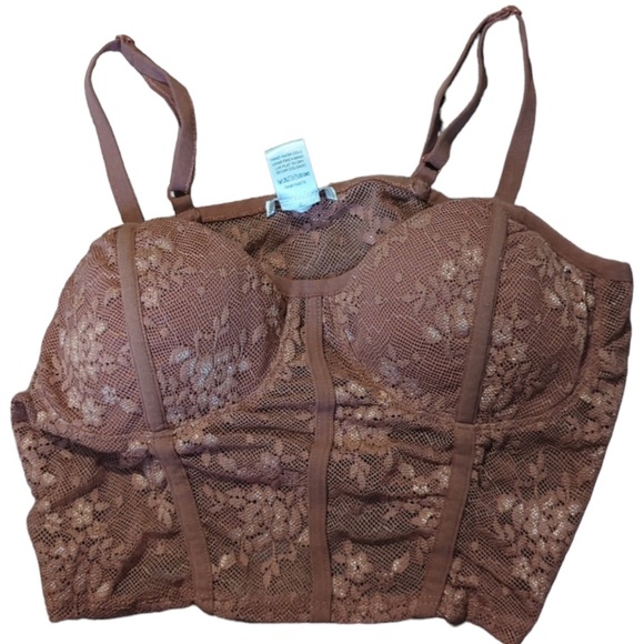 Bozollo Brown Padded Lace Bustier - Picture 1 of 2